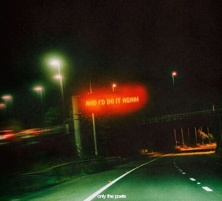 LP ploča Only The Poets - and i'd do it again (LP)