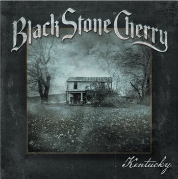LP ploča Black Stone Cherry - Kentucky (180g) (Limited Edition) (Transparent Coloured) (LP) - 1
