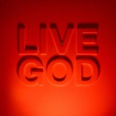 Muziek CD Nick Cave & The Bad Seeds - Live God (2 CD)