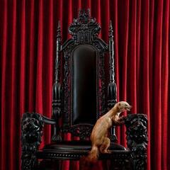 LP ploča Brume - Marten (Transparent Red Coloured) (LP)