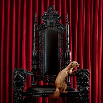 LP deska Brume - Marten (Transparent Red Coloured) (LP) - 1