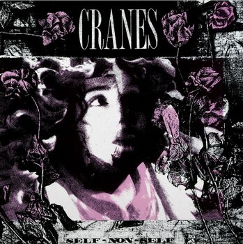 LP ploča Cranes - Self-Non-Self (180g) (Limited) (35th Anniversary Edition) (Black & White Marbled Coloured) (LP) - 1