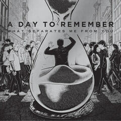 LP ploča A Day To Remember - What Separates Me From You (15th Anniversary) (Limited Edition) (Coke Bottle Clear Coloured) (LP)