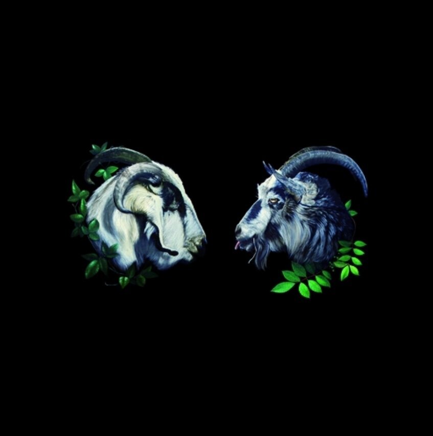 LP ploča Dbuk - Songs Nine Through Sixteen (LP)