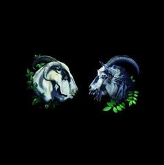 LP ploča Dbuk - Songs Nine Through Sixteen (LP)