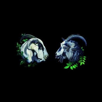 LP ploča Dbuk - Songs Nine Through Sixteen (LP) - 1