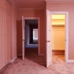 Schallplatte Empath - Visitor (Coloured) (LP)