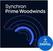 VST Instrument Vienna Symphonic Library Synchron Prime Woodwinds (Produs digital)