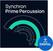 VST Instrument Vienna Symphonic Library Synchron Prime Percussion (Дигитален продукт)