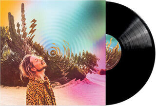 Vinüülplaat Rocket Summer - Shadowkasters (180 g) (LP)