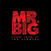 Disc de vinil Mr Big - Lean Into It - The Singles (Box Set) (Coloured) (5 x 7" Single)
