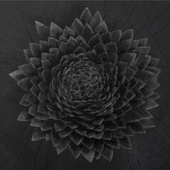 LP plošča Jónsi - Obsidian (Black Gold Galaxy Coloured) (2 LP)