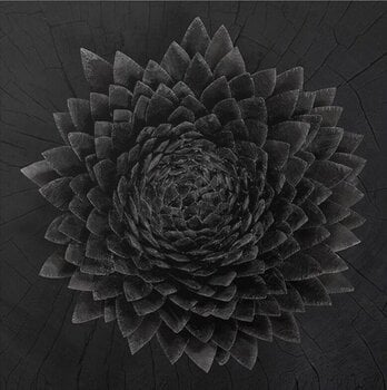 LP plošča Jónsi - Obsidian (Black Gold Galaxy Coloured) (2 LP) - 1