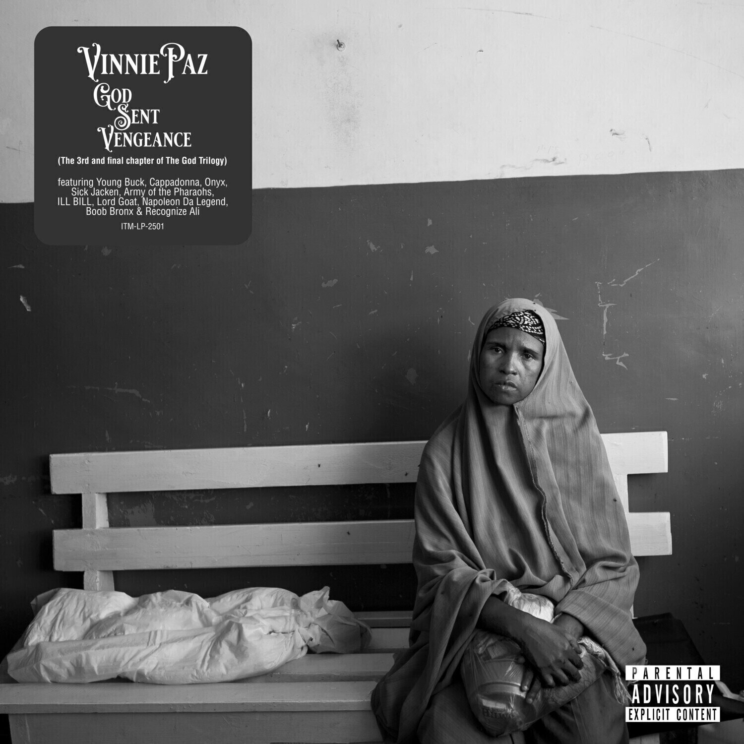 Disc de vinil Vinnie Paz - God Sent Vengeance (Coloured) (2 LP)