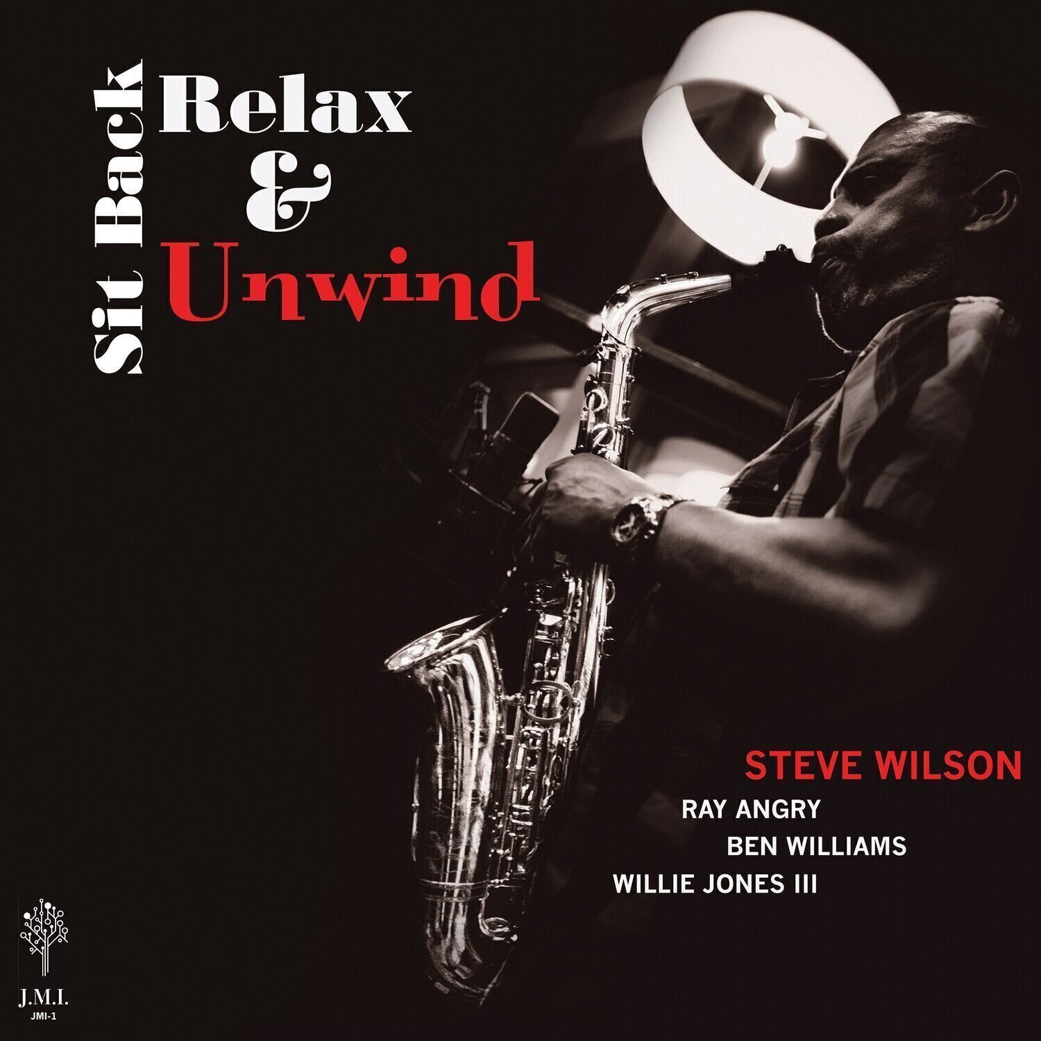Vinyl Record Steve Wilson - Sit Back Relax & Unwind (LP)