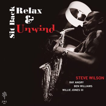 Vinyl Record Steve Wilson - Sit Back Relax & Unwind (LP) - 1