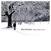 LP ploča Blue October - Argue With A Tree (3 LP)