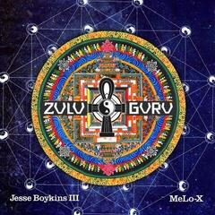LP ploča Jesse Boykins III - Zulu Guru (2 LP)