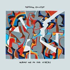 Vinylskiva Dorian Concept - What We Do For Others (LP)