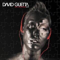 LP ploča David Guetta - Just A Little More Love (Gatefold Sleeve) (2 LP)