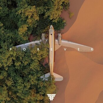 Disc de vinil Flight Facilities - FOREVER (Green Coloured) (2 LP) - 1