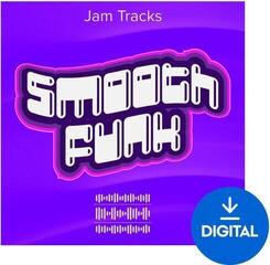 Soundlibraries für Sampler Roland Smooth Funk (Digitales Produkt)