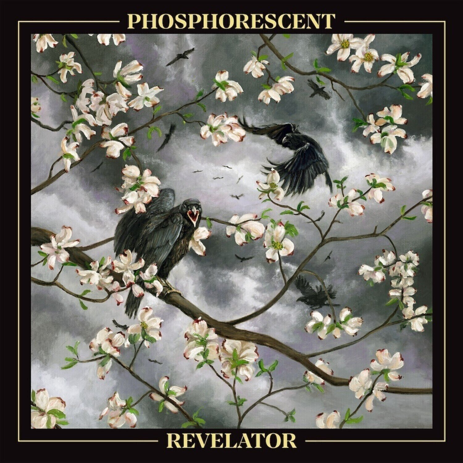 LP ploča Phosphorescent - Revelator (LP)