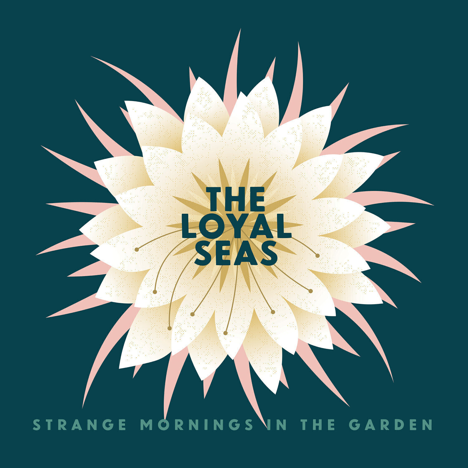 LP ploča Loyal Seas - Strange Mornings In The Garden (Pink Rose Coloured) (LP)