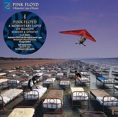 Vinyl Record Pink Floyd - Momentary Lapse Of Reason (180 g) (2 LP)