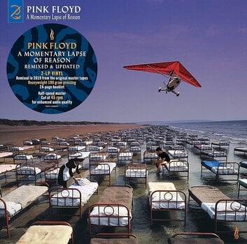 Vinyl Record Pink Floyd - Momentary Lapse Of Reason (180 g) (2 LP) - 1