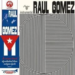 LP ploča Raul Gomez - Raul Gomez (LP)