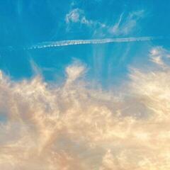 LP ploča Thirty Seconds To Mars - It’s The End Of The World But It’s A Beautiful Day (Orange Coloured) (LP)