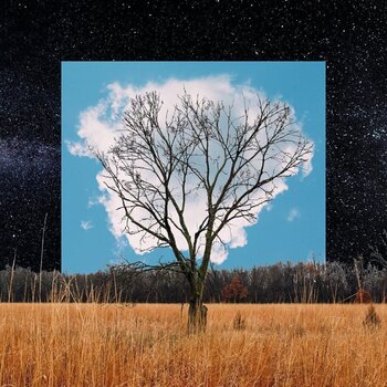 Disco de vinil Fink - Bloom Innocent (White Coloured) (LP) - 1