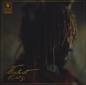 LP ploča Thundercat - It Is What It Is (Gatefold Sleeve) (Clear Coloured) (LP) - 1