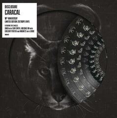 LP ploča Disclosure - Caracal (Reissue) (Anniversary Edition) (Deluxe Edition) (Limited Editon) (Picture Disc) (2 LP)