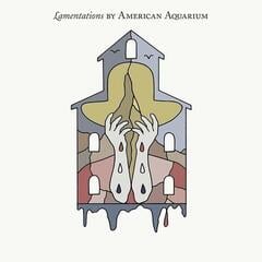 LP platňa American Aquarium - Lamentations (Limited Edition) (Dusty Denim Coloured) (LP)