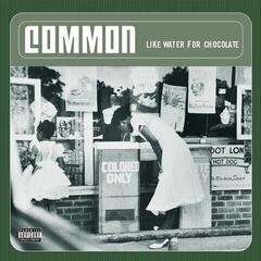 Vinylplade Common - Like Water For Chocolate (180 g) (2 LP)