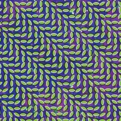 Vinüülplaat Animal Collective - Merriweather Post Pavilli (2 LP)