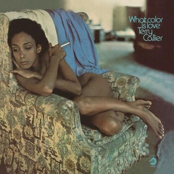 LP ploča Terry Callier - What Color is Love (Audiophile Vinyl) (180 g) (LP) - 1