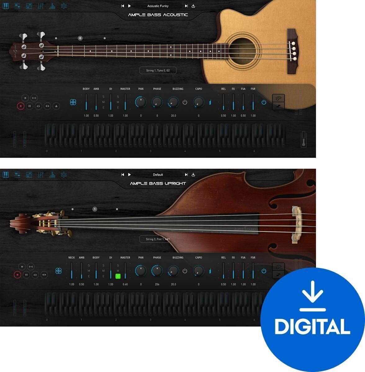 VST Instrument Ample Sound Ample 2in1 Acoustic Bass Bundle (Digital product)
