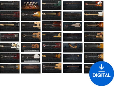 VST Instrument Ample Sound Full Bundle (Digital product) - 1