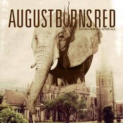 LP ploča August Burns Red - Looks Fragile After All (Limited Edition) (Coloured) (12" EP)