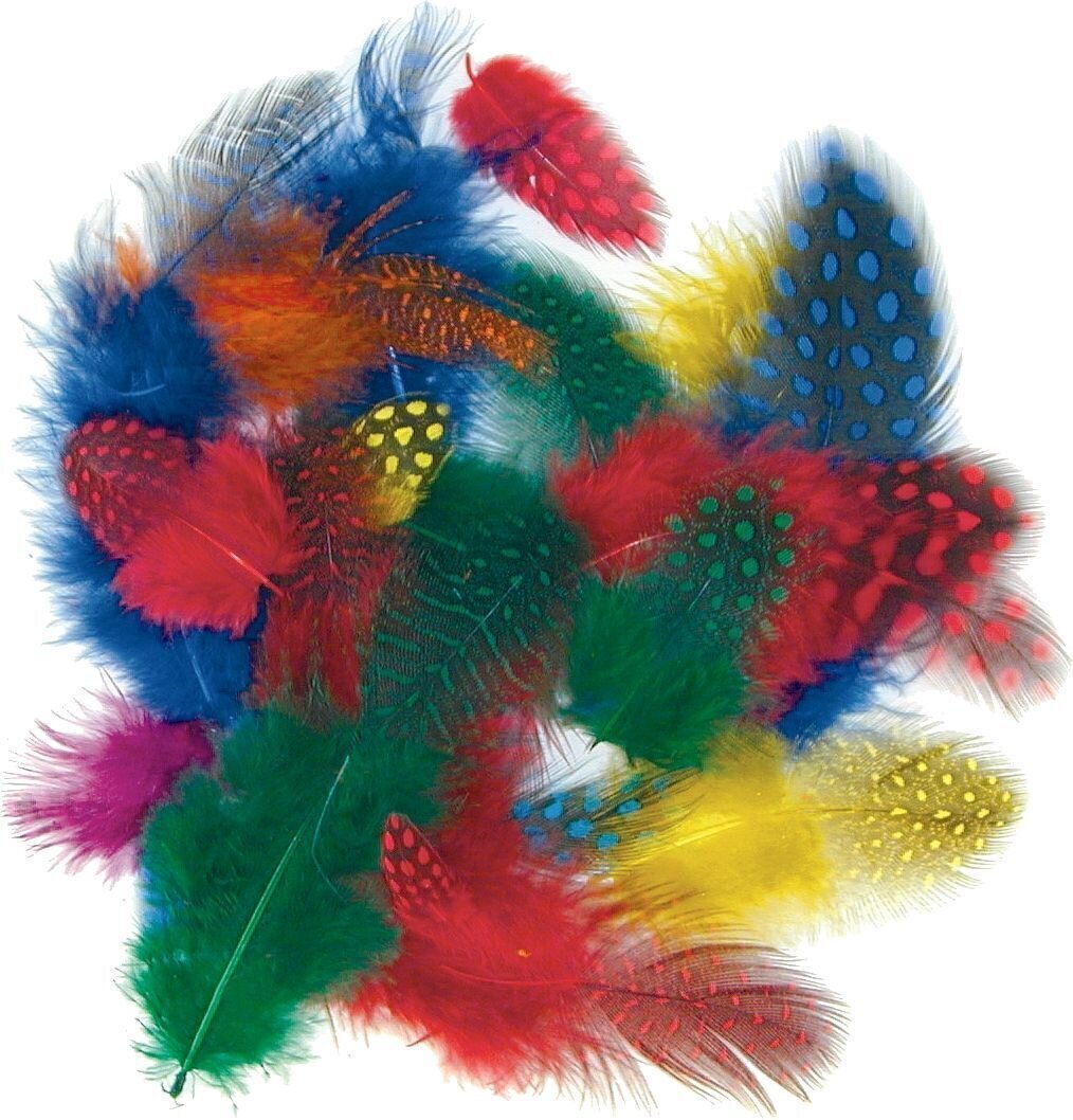 Υλικό Heyda 204885205 Φτερό Assorted