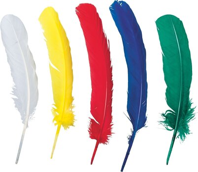 Material Heyda 204885407 Feathers Assorted - 1