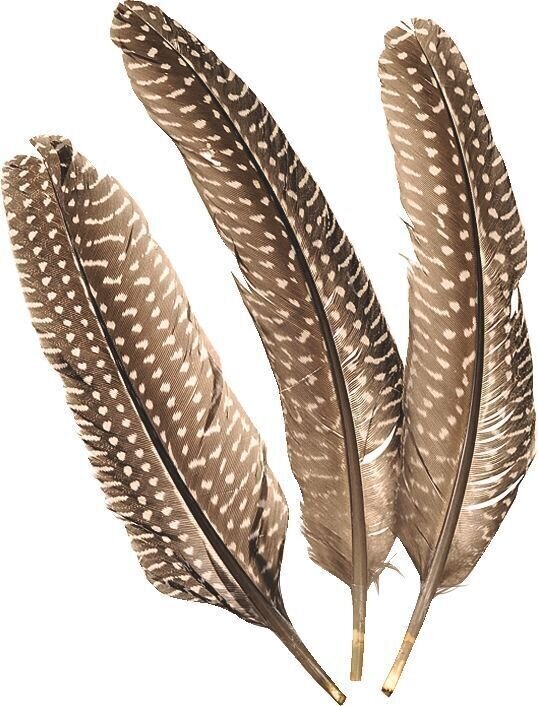 Knorr Prandell 216617980 Pírka