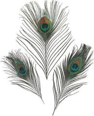 Material Knorr Prandell 216626025 Feathers
