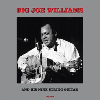 Disc de vinil Big Joe Williams - And His Nine String Guitar (Reissue) (180 g) (LP) - 1