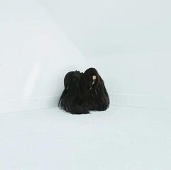 LP ploča Chelsea Wolfe - Hiss Spun (Reissue) (Gatefold Sleeve) (2 LP)