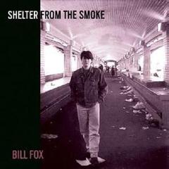 Disco de vinil Bill Fox - Shelter From The Smoke (Reissue) (2 LP)
