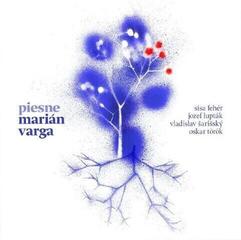 Glasbene CD Various Artists - Marián Varga Piesne (Download Code) (CD)